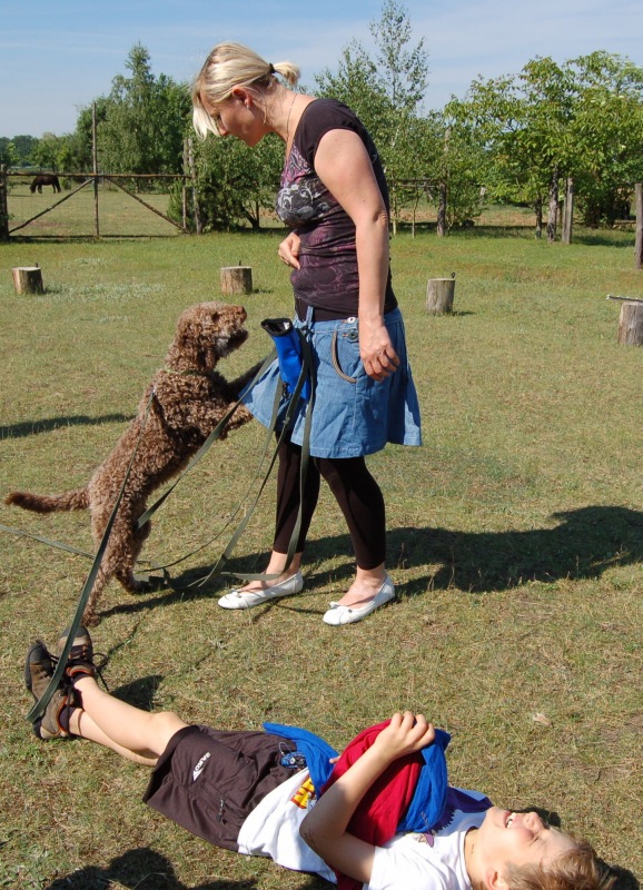 Hugo und Flo 2