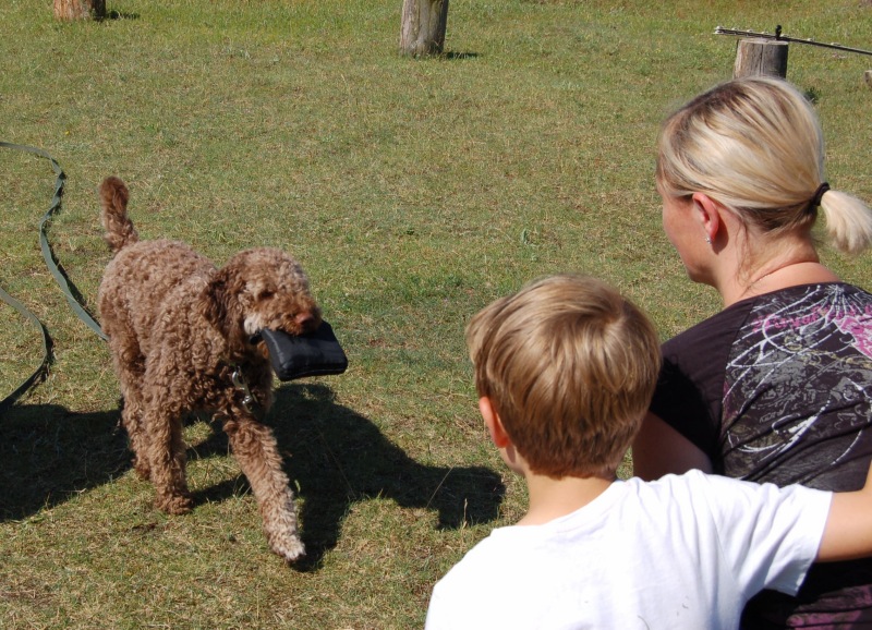 hugo und flo 3